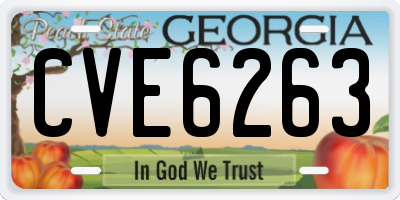 GA license plate CVE6263