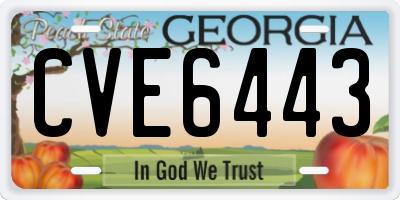 GA license plate CVE6443