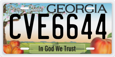 GA license plate CVE6644