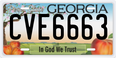 GA license plate CVE6663