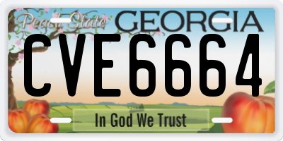 GA license plate CVE6664