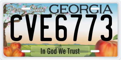 GA license plate CVE6773