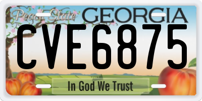 GA license plate CVE6875