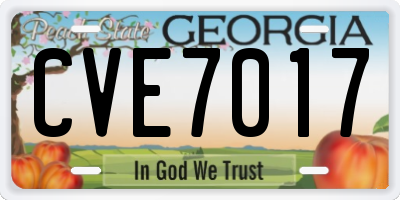 GA license plate CVE7017