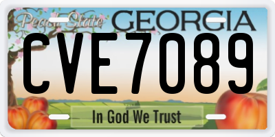 GA license plate CVE7089