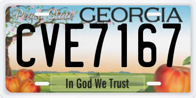 GA license plate CVE7167