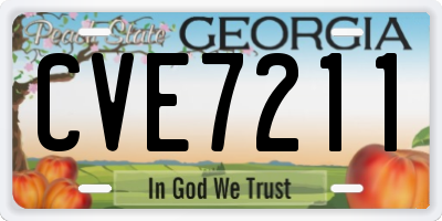 GA license plate CVE7211