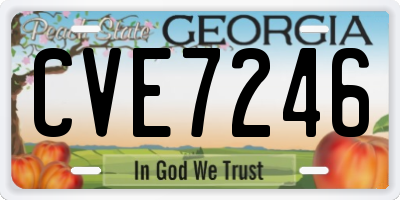 GA license plate CVE7246