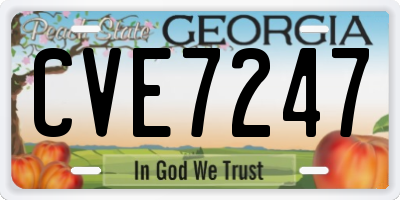 GA license plate CVE7247