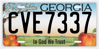 GA license plate CVE7337