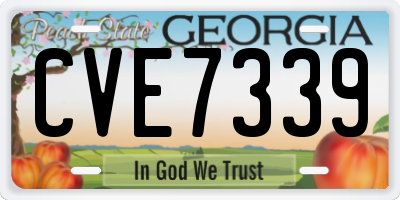 GA license plate CVE7339