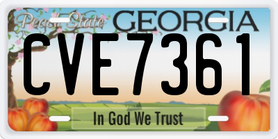 GA license plate CVE7361