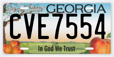 GA license plate CVE7554