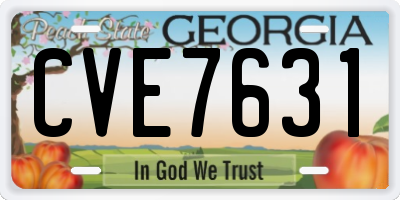 GA license plate CVE7631