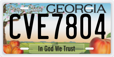 GA license plate CVE7804