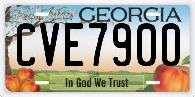 GA license plate CVE7900