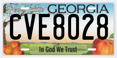 GA license plate CVE8028
