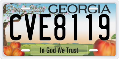GA license plate CVE8119