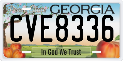 GA license plate CVE8336