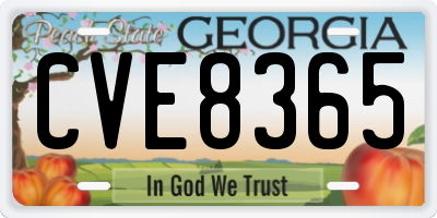 GA license plate CVE8365