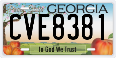 GA license plate CVE8381