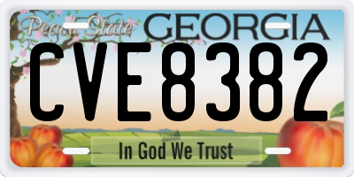 GA license plate CVE8382