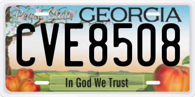 GA license plate CVE8508