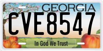 GA license plate CVE8547