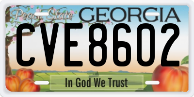 GA license plate CVE8602