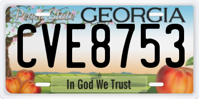 GA license plate CVE8753
