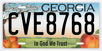 GA license plate CVE8768