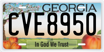 GA license plate CVE8950