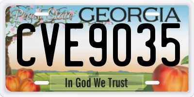 GA license plate CVE9035