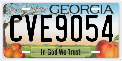 GA license plate CVE9054