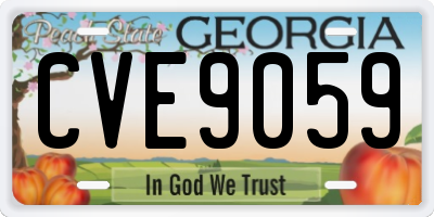 GA license plate CVE9059
