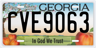 GA license plate CVE9063