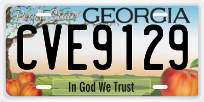 GA license plate CVE9129