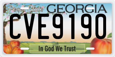 GA license plate CVE9190