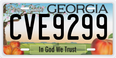 GA license plate CVE9299