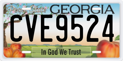 GA license plate CVE9524
