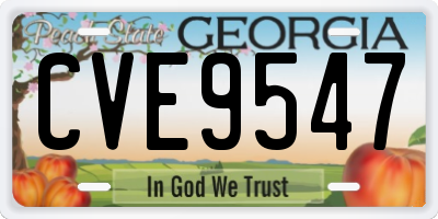 GA license plate CVE9547