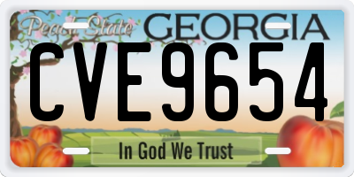 GA license plate CVE9654