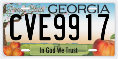 GA license plate CVE9917
