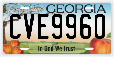 GA license plate CVE9960