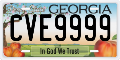 GA license plate CVE9999