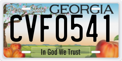 GA license plate CVF0541