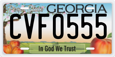 GA license plate CVF0555