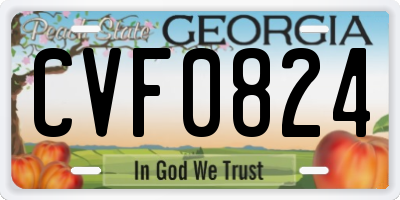GA license plate CVF0824
