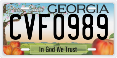 GA license plate CVF0989