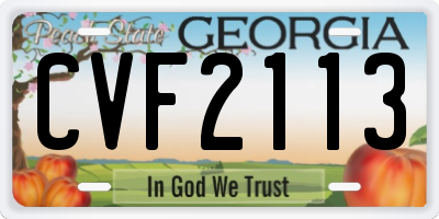 GA license plate CVF2113